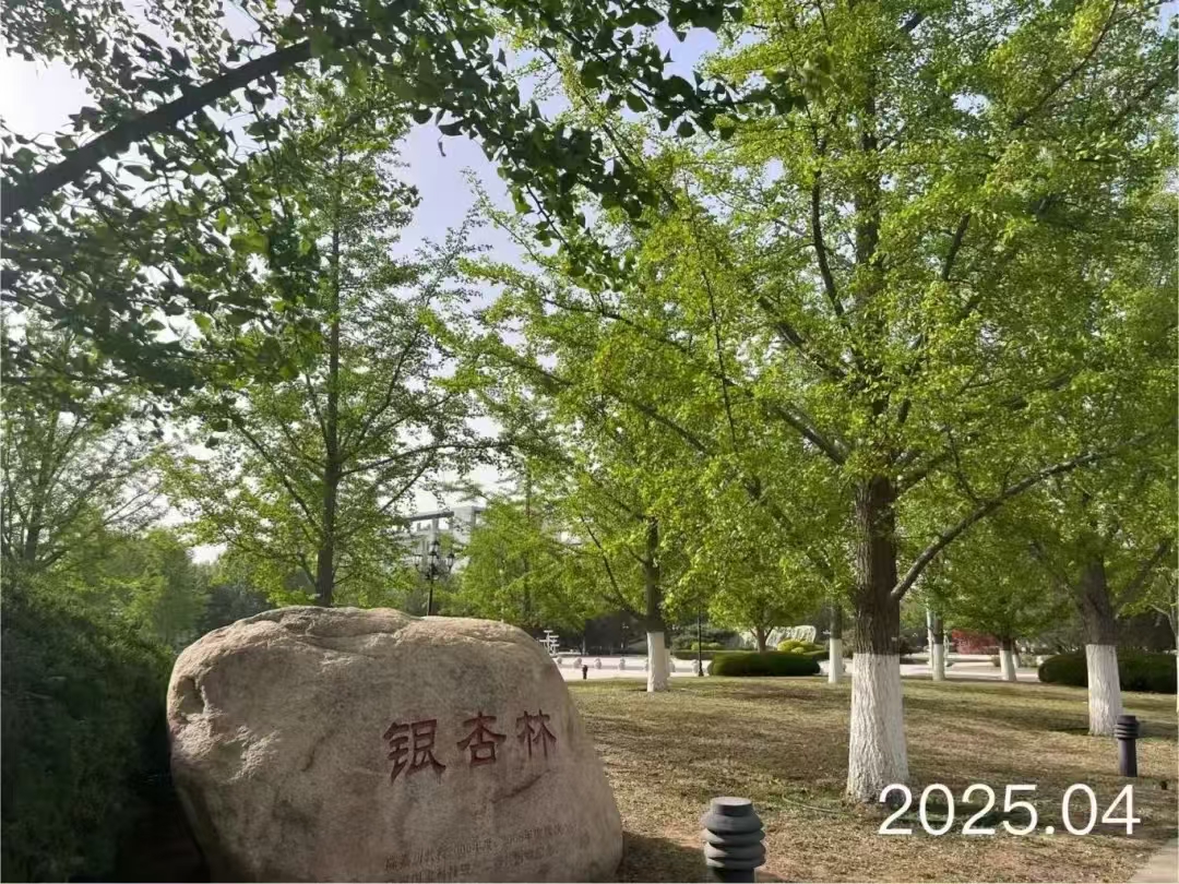 绿影华章：镌刻在校友林里的岁月长情